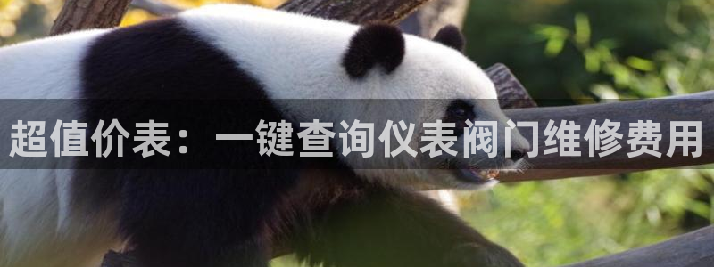 云顶国际网站进不去了