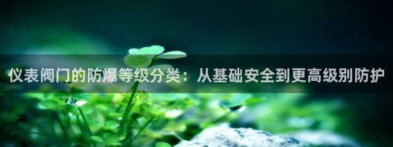 云顶国际服什么时候更新s11