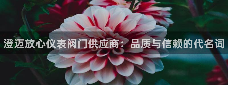 云顶集团中国区总裁