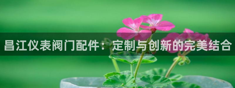 云顶国际唯一官方网站是哪个