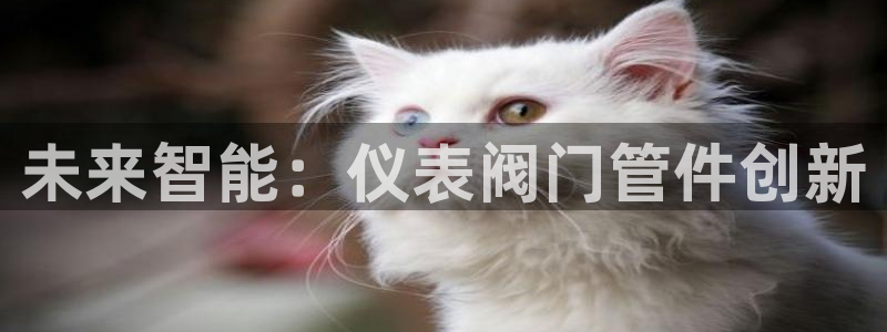 云顶国际服s6