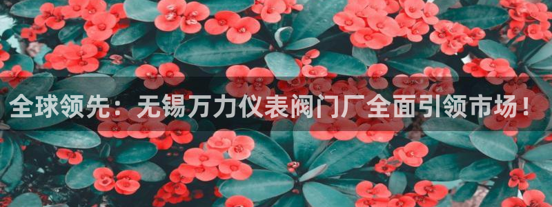 云顶集团有限公司