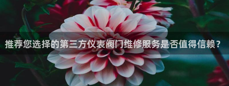 云顶国际网站2713366