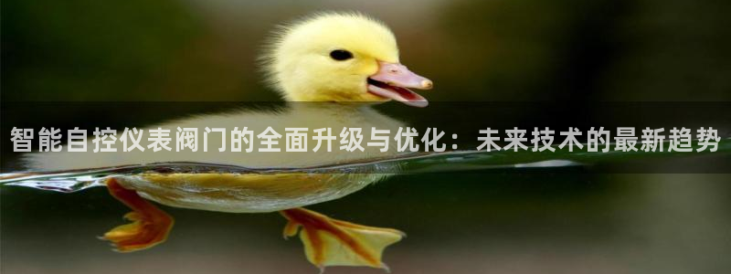 云顶国际平台违法吗?