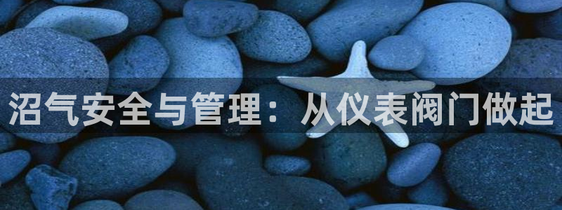 云顶国际公馆有取暖吗