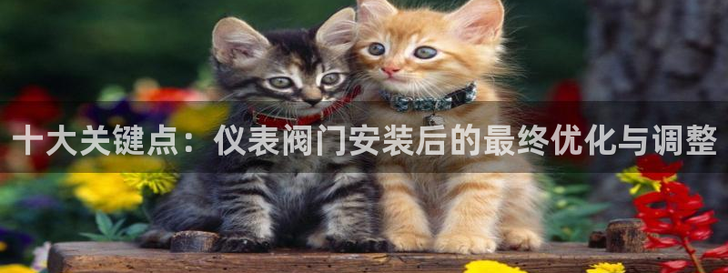 云顶集团有限公司简介图片