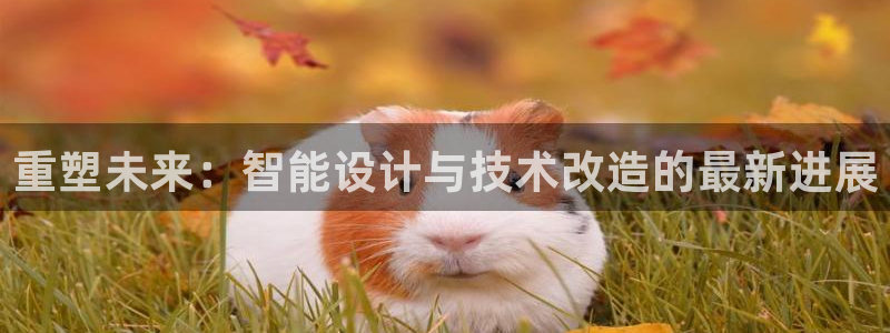 云顶国际网站2713366