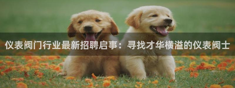 云顶国际百姓渔村