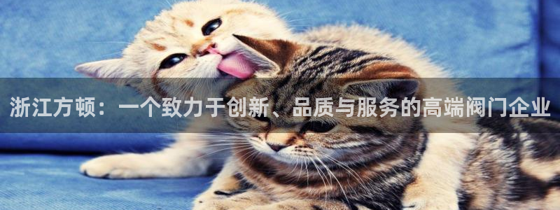 云顶国际平台违法吗?