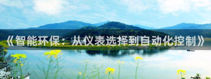 云顶国际房地产有限公司