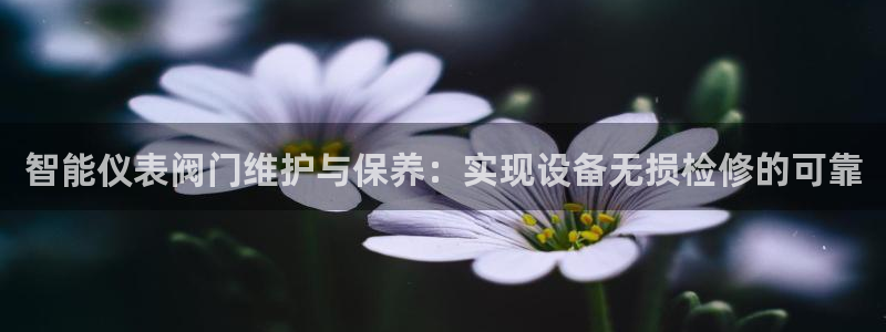 云顶国际旅行社怎么样