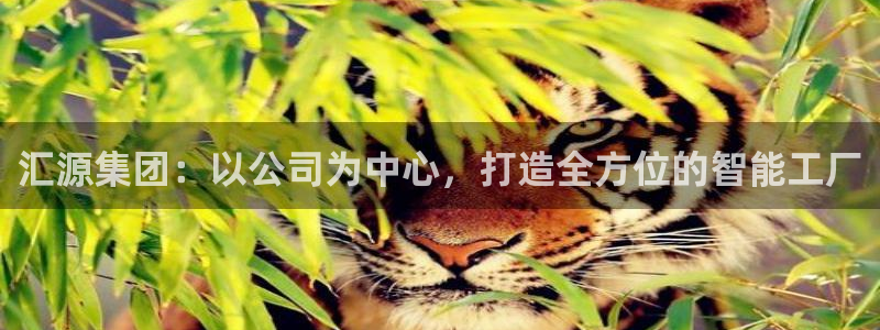 云顶国际服s10
