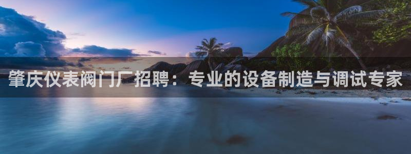 云顶集团游戏app8293