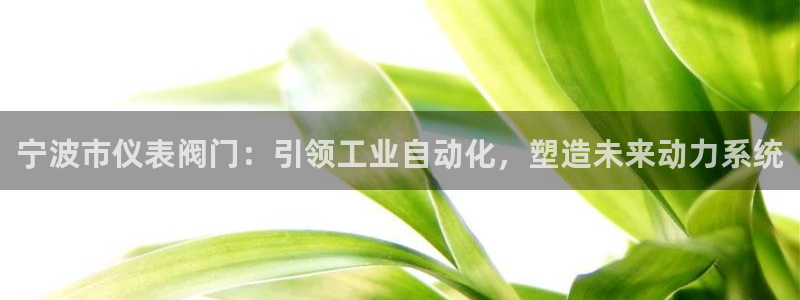 云顶国际官网下载手机版