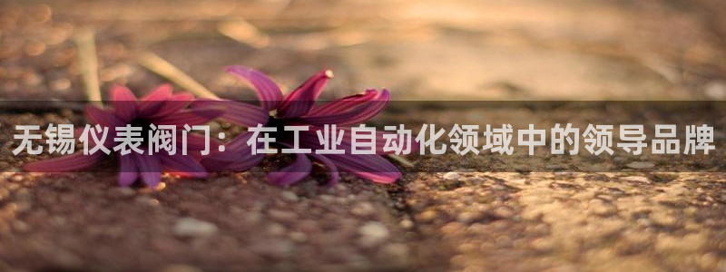 云顶国际app官方下载安装手机版