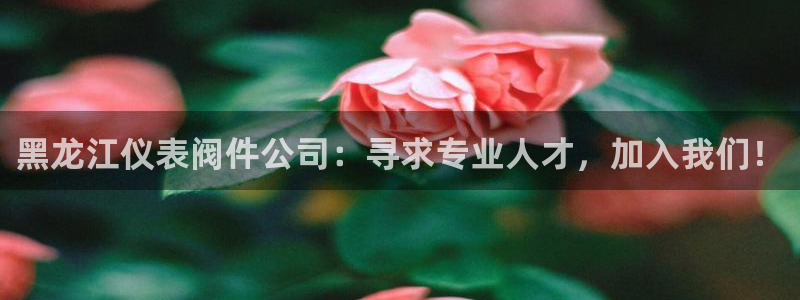 云顶游戏网站网址