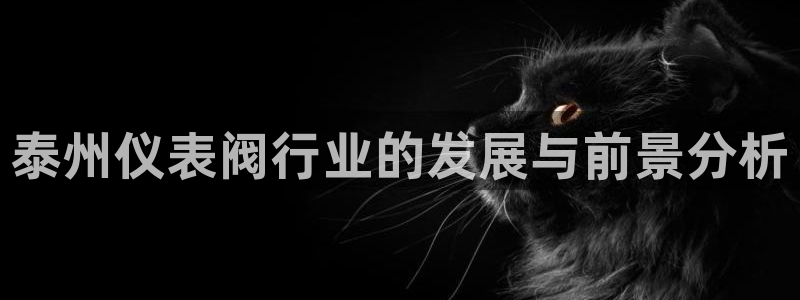 云顶国际服哪个服人多