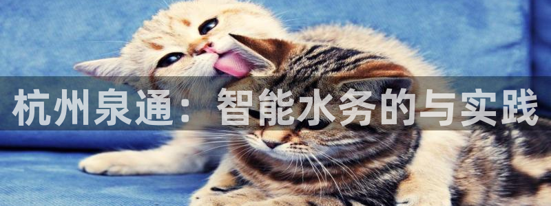 云顶国际公馆产权年限