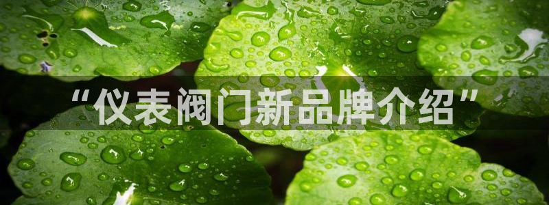 云顶国际提现多久到账啊