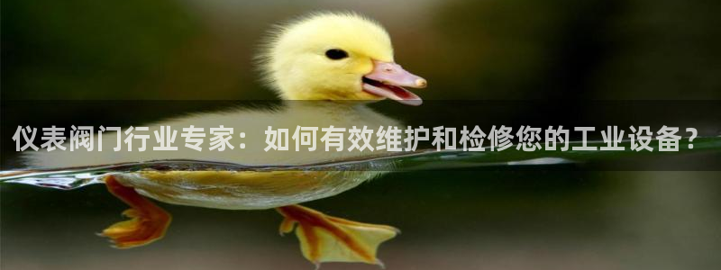 云顶国际集团app