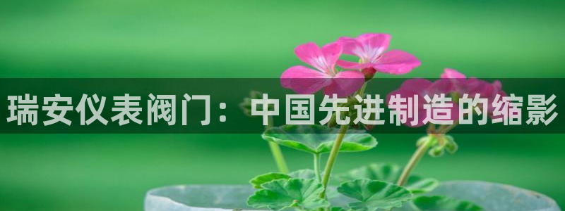 云顶集团3118acm官网