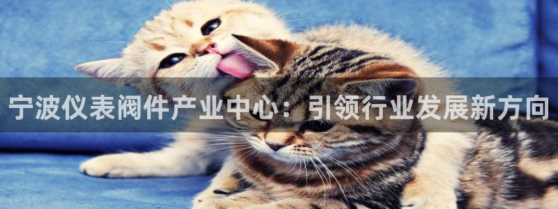 云顶集团市值