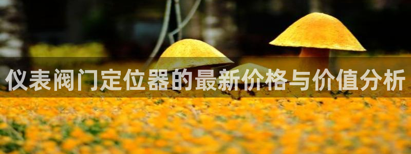 云顶国际商业广场A座101室