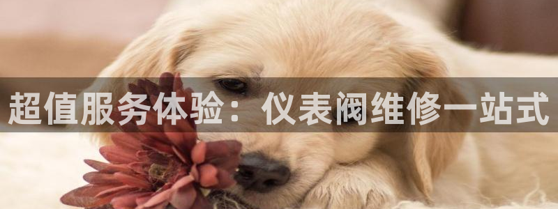 云顶国际集团游戏会不会黑钱