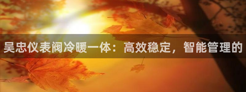 云顶国际集团开发有限公司