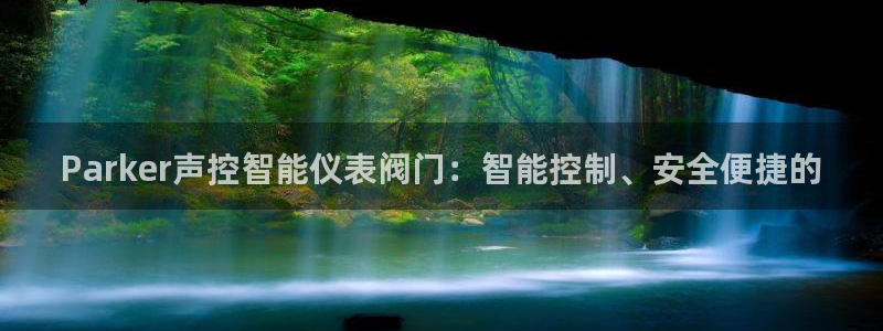 谁知道云顶的网站是多少