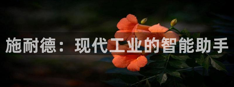 怎么下载云顶国际服