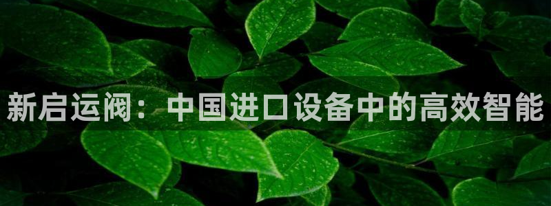 云顶国际app官网下载安装