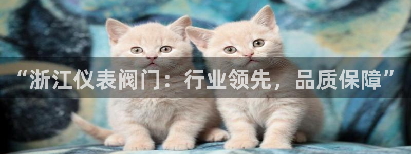 云顶电子游戏网站