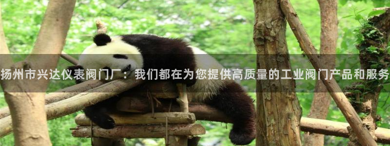 云顶线路快速检测中心