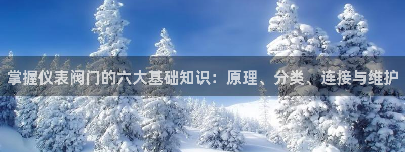 云顶国际提款不到账怎么回事