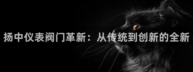 云顶集团公司简介图片