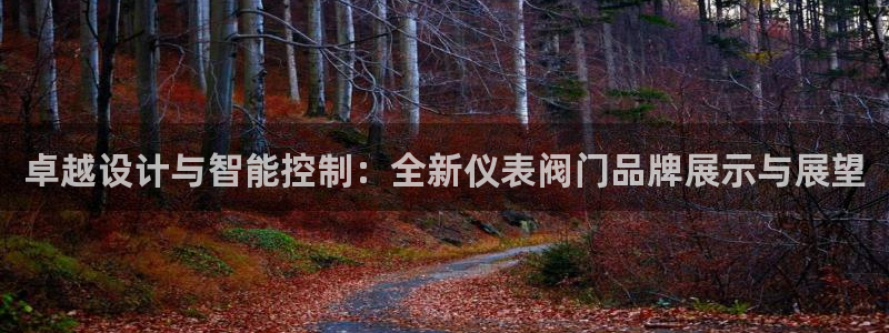 云顶国际服更新时间