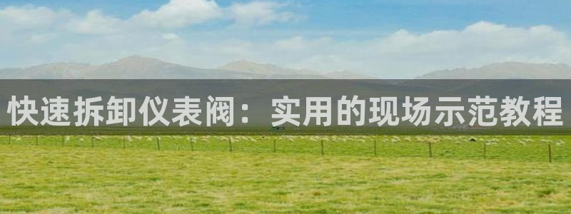 云顶国际平台游戏官网