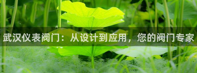 yd2333云顶电子游戏