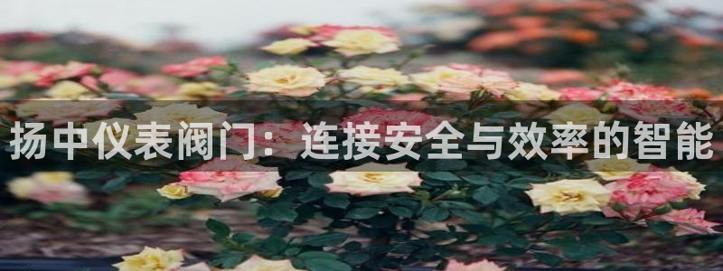 云顶国际官网下载手机版