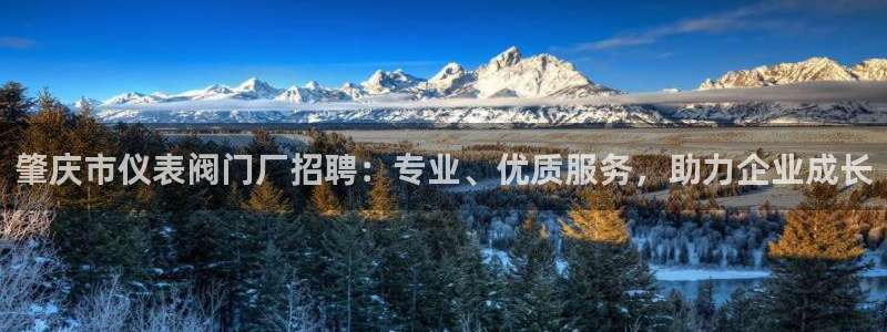 云顶国际足球app下载安装