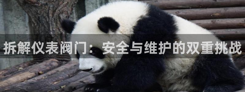 云顶国际能提现吗安卓