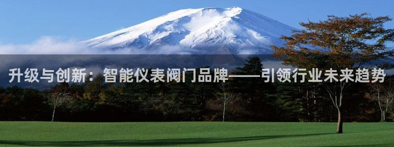 云顶国际的网址是多少