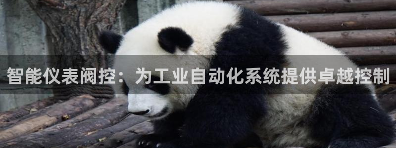 云顶国际百度百科