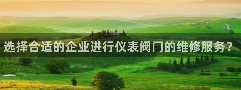 登录云顶集团的网站