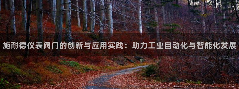 云顶集团中国区总裁