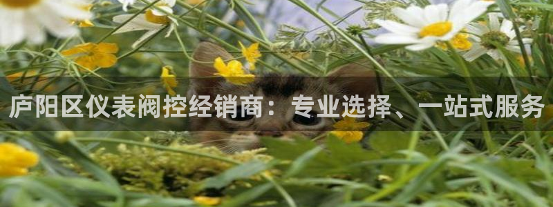 云顶国际是正规游戏吗知乎