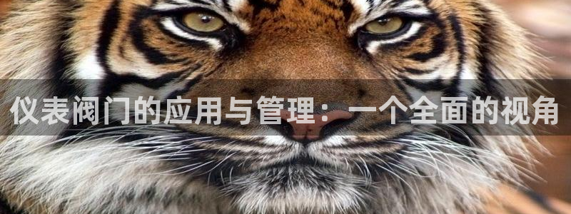 云顶国际不出款