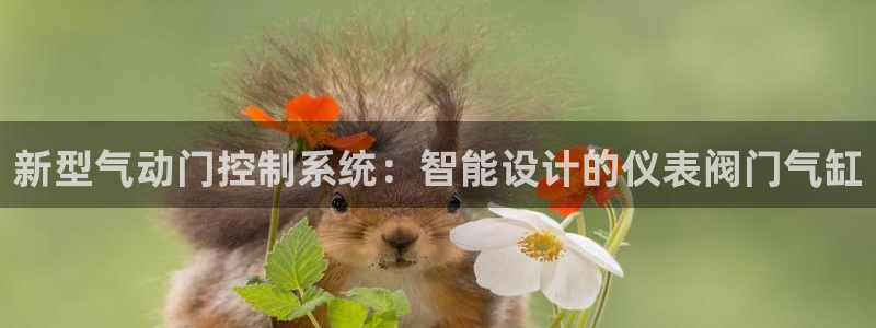 云顶国际怎么进不去了