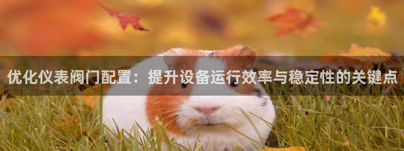 云顶集团官网登录入口